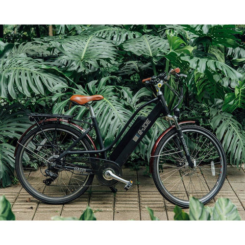 Midnight Black e-Joe GADIS Step Thru - Electric Cruiser Bike - In Front of Ferns