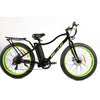 Image of Big Cat Fat Cat XL500 - Electric Mountain Bike