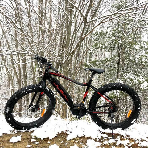 Fifield Rogue Wave - Electric Mountain Bike - On a snowy trail