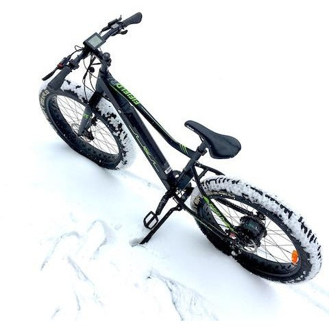Fifield Rogue Wave - Electric Mountain Bike - In the Snow