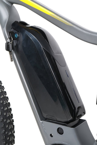 QuietKat Quantum- Electric Mountain Bike