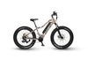 Image of QuietKat Canyon - Electric Mountain Bike